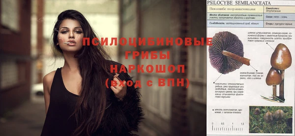 кокс Белокуриха