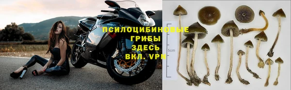каннабис Бородино