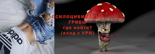 МДПВ Бронницы