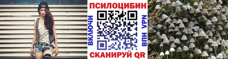 Галлюциногенные грибы мухоморы  Луховицы 